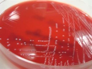Laboratoře Mikrochem a.s. Laboratoře Mikrochem a.s.